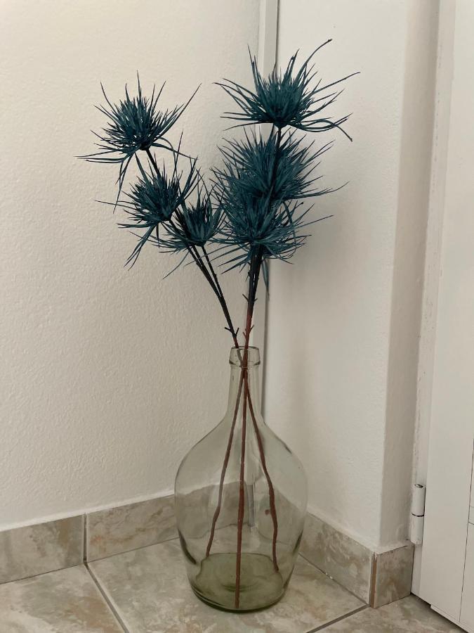 Apartman Dinka *
